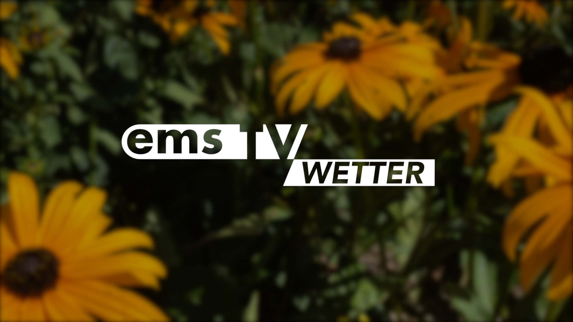 26 08 27 Wetter