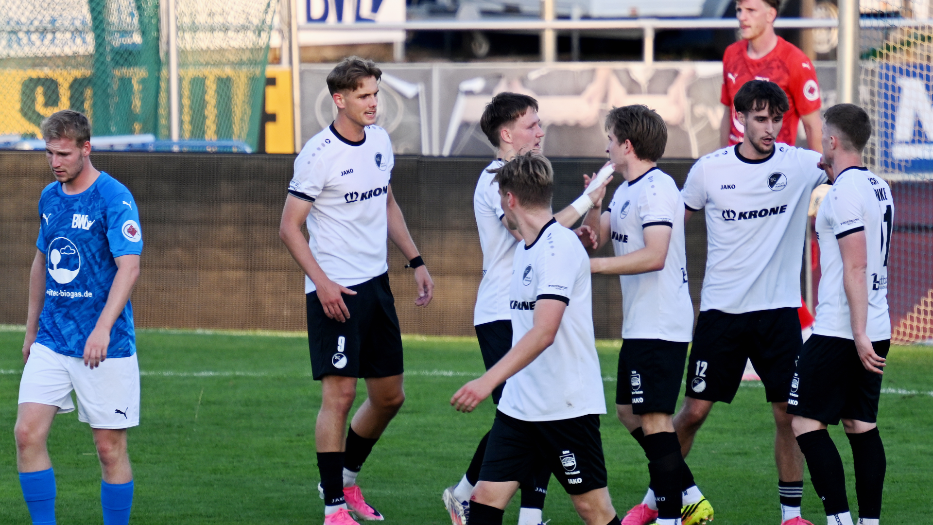 3_1 bei Regionalligaabsteiger BW Lohne