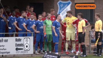 Biene vs. Lohne