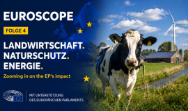 EuroScope_04_16_9_DE