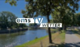 SCREENWETTER4August