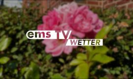 SCREENWetter
