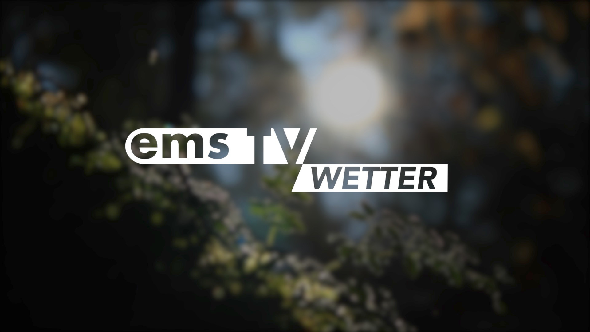 SCREENWetter3August