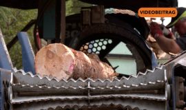 Screen_2024_NEU 777