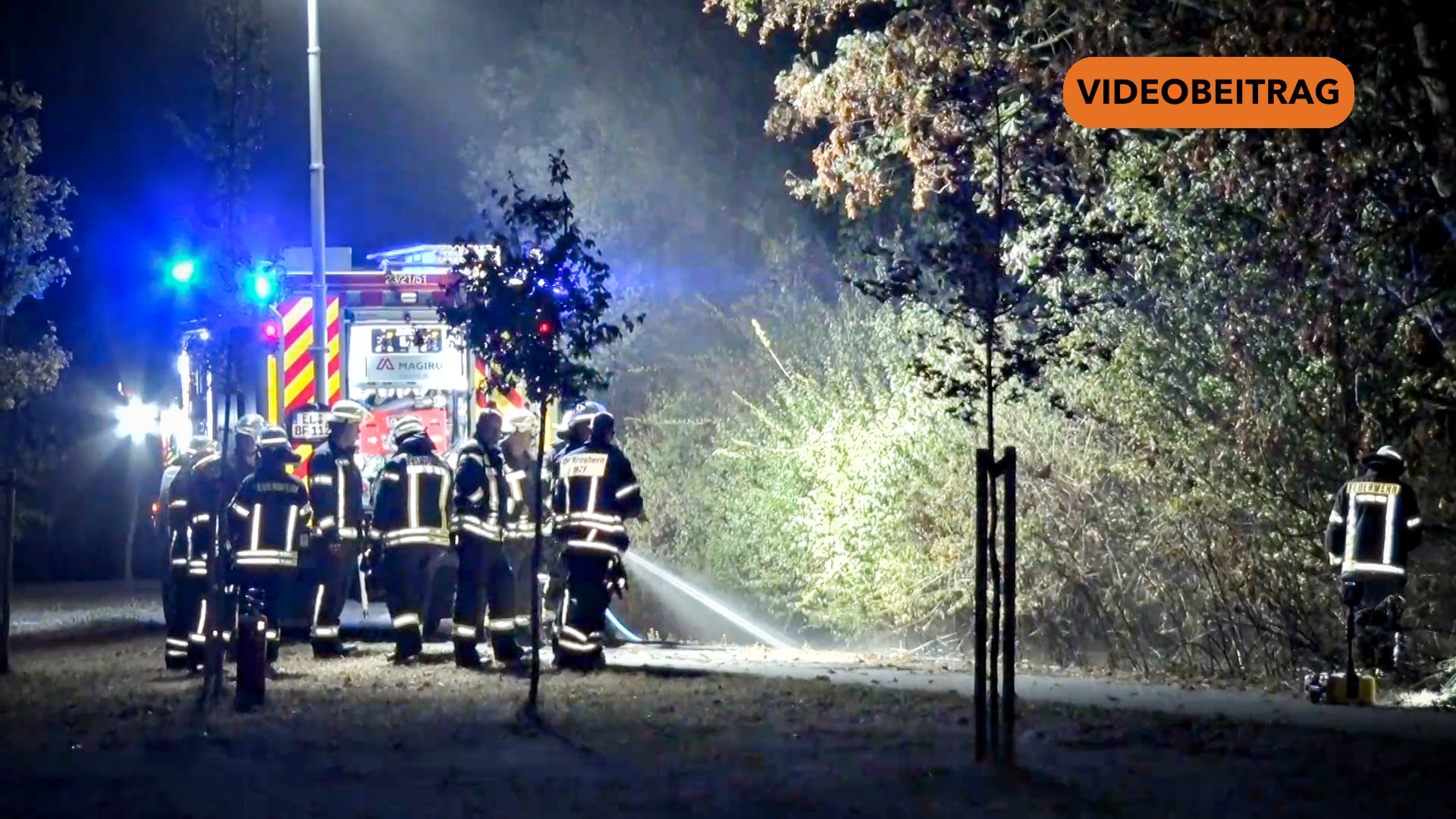 Screen_26 08 17 Flächenbrand Dieksee
