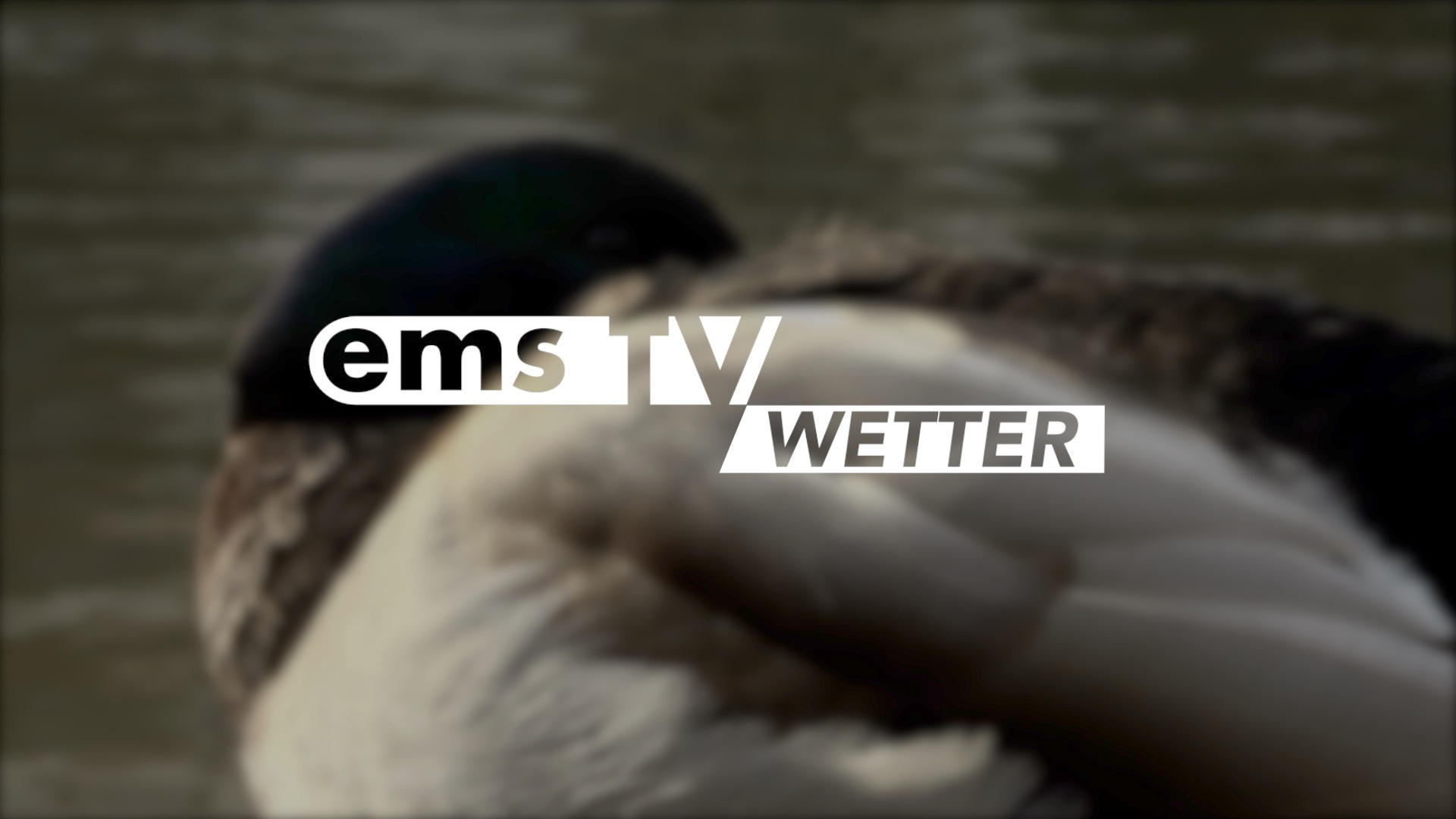 24 09 06 Wetter