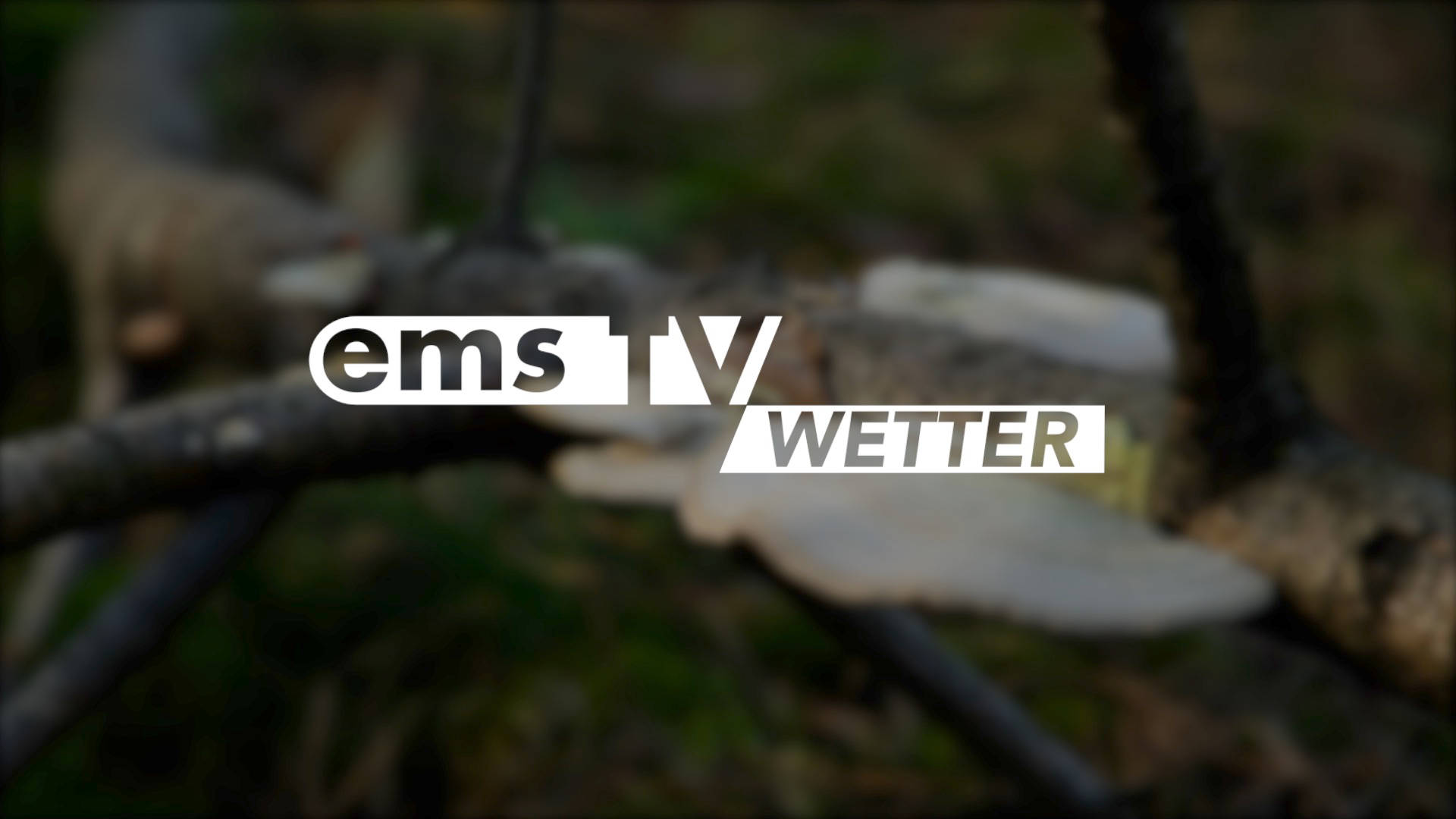 24 09 14 Wetter