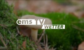 26 09 02 Wetter