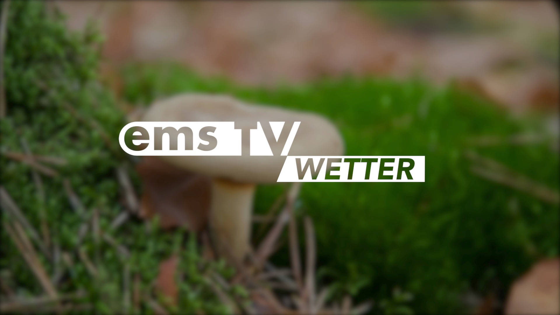26 09 02 Wetter