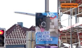 AfD-Ergebnis sorgt für Debatte im Emsland