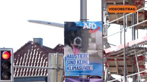 AfD-Ergebnis sorgt für Debatte im Emsland