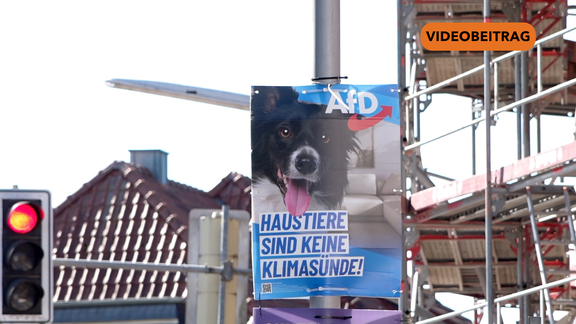 AfD-Ergebnis sorgt für Debatte im Emsland