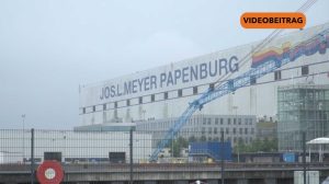 SCREENMeyerNIF