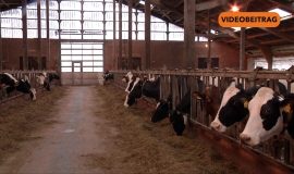 Screen_2024_NEU
