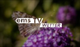 Screen_Wetter