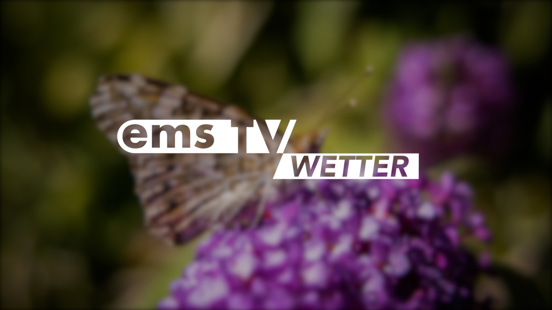 Screen_Wetter