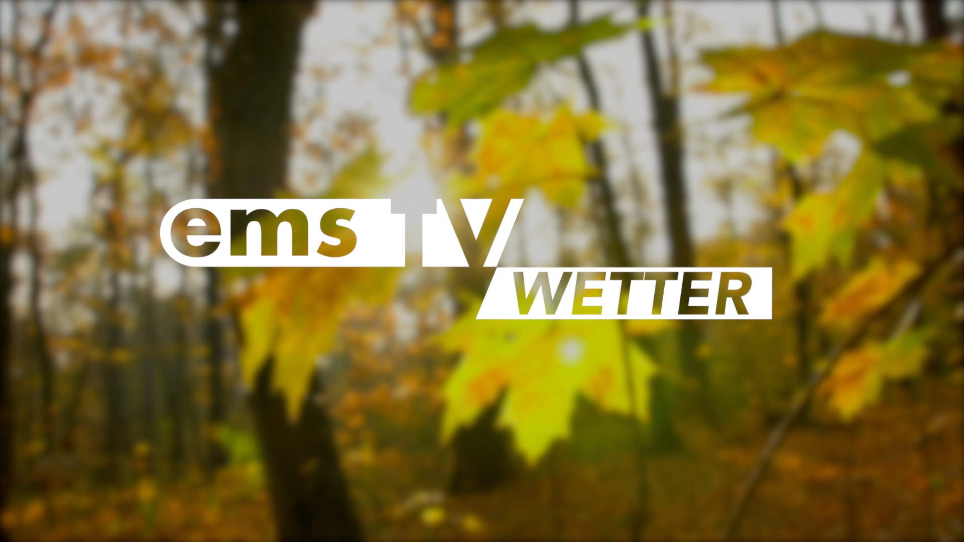 26_Symbolbild_Wetter_Herbst