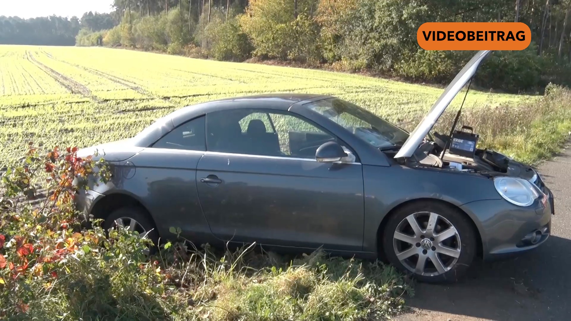 BL Klein Berßen VID