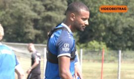 SCREENZenga
