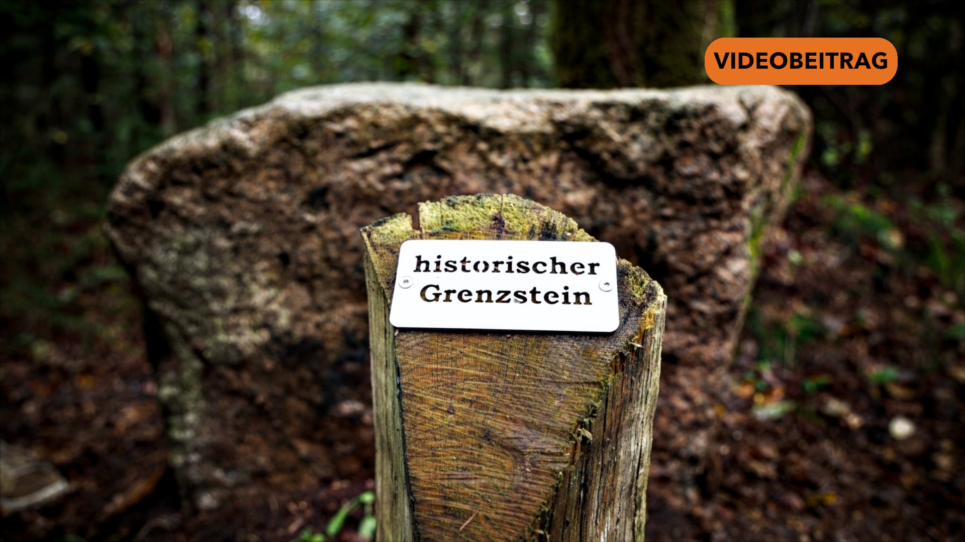 Screen_26 10 21 Grenzsteine Börger