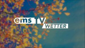 Wetterbild_Herbst_Blaetter gen Himmel