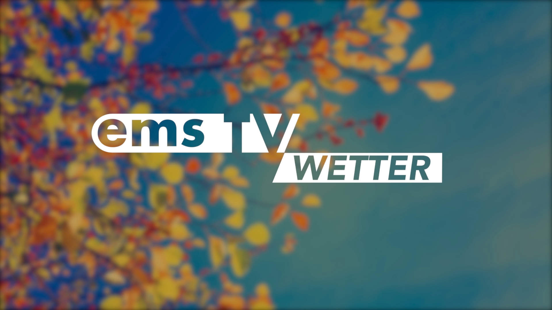 Wetterbild_Herbst_Blaetter gen Himmel